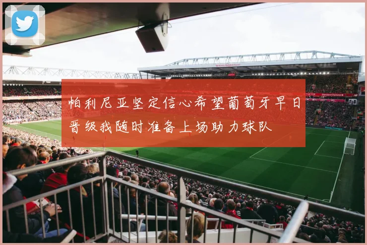帕利尼亚坚定信心希望葡萄牙早日晋级我随时准备上场助力球队