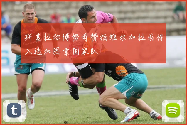 斯基拉称博努奇赞扬维尔加拉或将入选加图索国家队