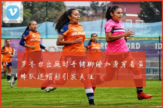 罗齐尔出庭时手铐脚镣加身穿着黄蜂队连帽衫引发关注