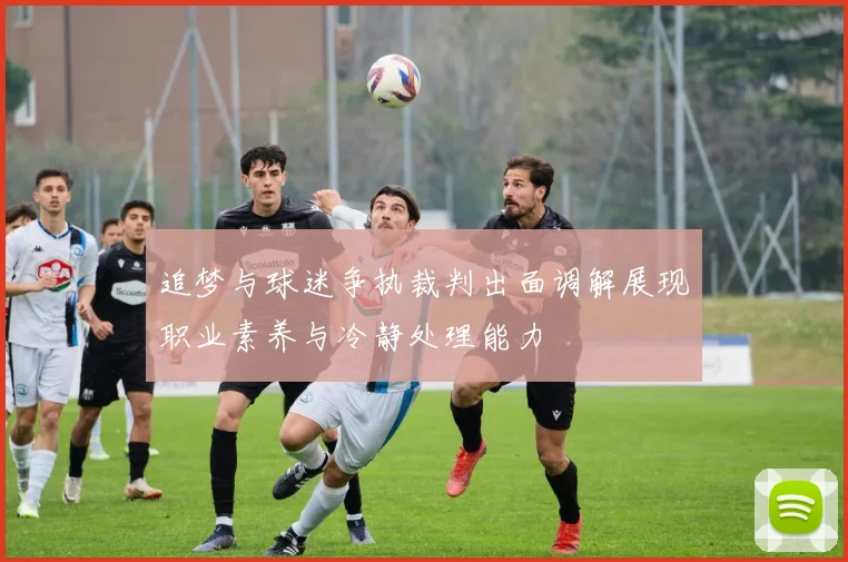 追梦与球迷争执裁判出面调解展现职业素养与冷静处理能力