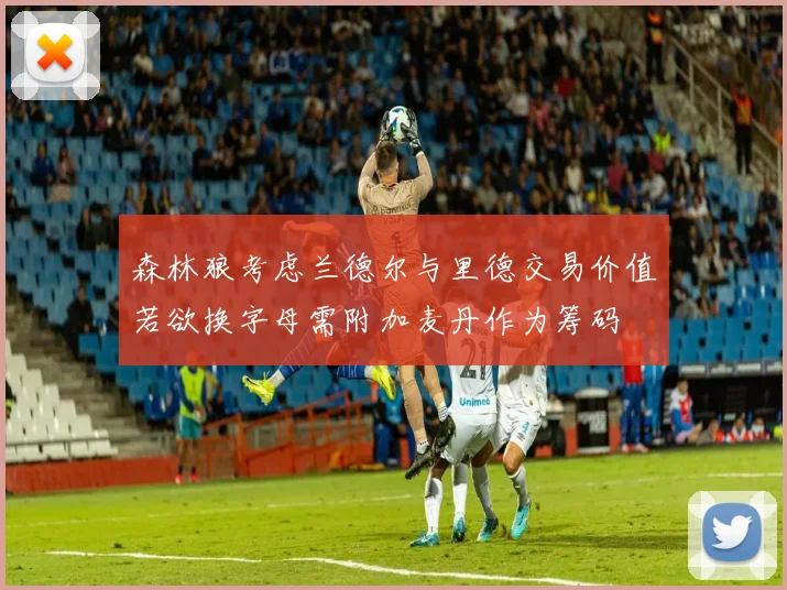 森林狼考虑兰德尔与里德交易价值若欲换字母需附加麦丹作为筹码
